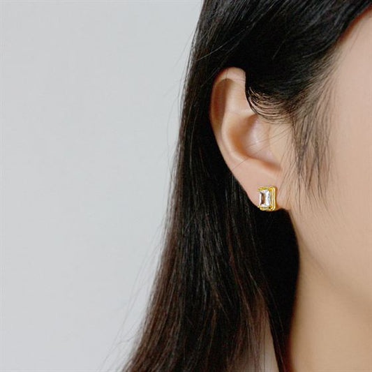 The Rectangle Studs